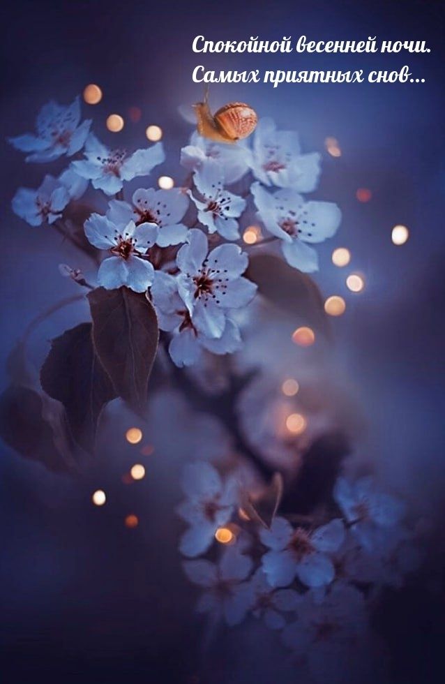 Открытка «Доброй ночи»: Доброй ночи: «Весенние цветы и волшебные сны». Тэги: Спокойной ночи, Спокойной ночи, красивые…