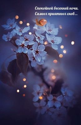 Открытка «Доброй ночи»: Доброй ночи: «Весенние цветы и волшебные сны». Тэги: Спокойной ночи, Спокойной ночи, красивые…