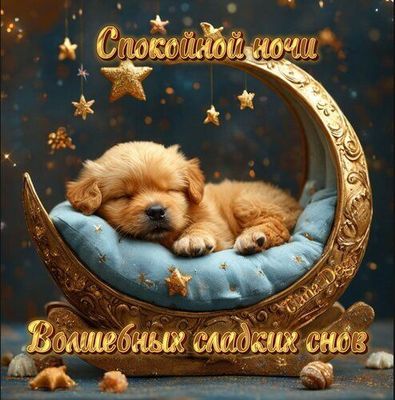 Открытка «Доброй ночи»: Доброй ночи: милый щенок на золотом месяце. Тэги: Спокойной ночи, Спокойной ночи, красивые…