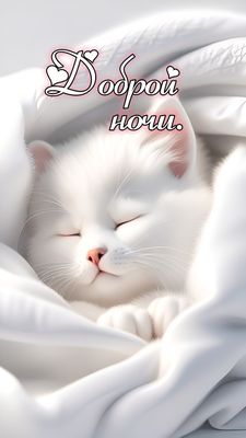 Открытка «Доброй ночи»: Спокойной ночи: милый белый котик в одеяле. Тэги: Спокойной ночи, Спокойной ночи, с пожелания…