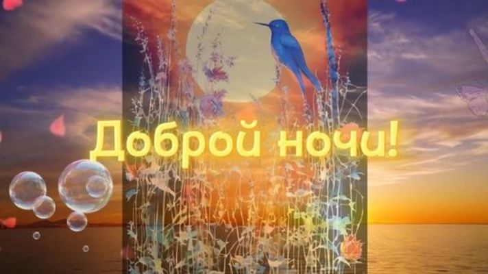 Открытка «Доброй ночи»: Спокойной ночи: открытка с синей птицей и луной. Тэги: Спокойной ночи, Спокойной ночи, красив…