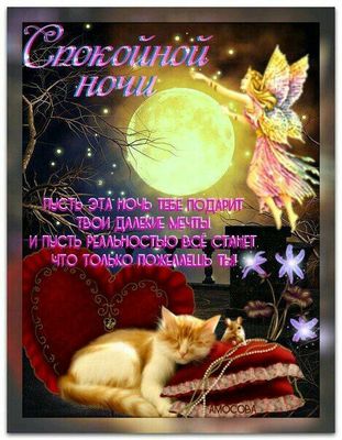 Открытка «Доброй ночи»: Спокойной ночи: Волшебная фея и спящий кот. Тэги: Спокойной ночи, Спокойной ночи, с пожелания…