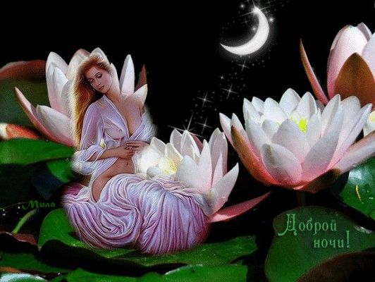 Открытка «Доброй ночи»: Спокойной ночи: «Девушка в лелиях» — нежная открытка. Тэги: Спокойной ночи, любимая женщина…