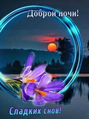 Открытка «Доброй ночи»: Доброй ночи: красивые крокусы на фоне заката. Тэги: Спокойной ночи, Спокойной ночи, красивые…