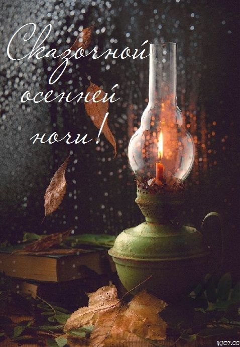 Открытка «Доброй ночи»: Спокойной ночи: «Сказочной осенней ночи!».