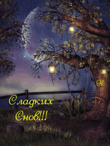 Открытка «Доброй ночи»: Спокойной ночи и сладких снов: Лунная ночь у дерева. Тэги: Спокойной ночи, Спокойной ночи…