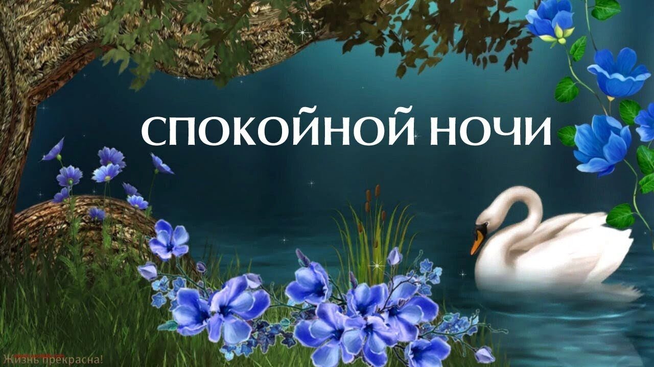 Открытка «Доброй ночи»: Спокойной ночи: лебедь и синие цветы у воды. Тэги: Спокойной ночи, Спокойной ночи, красивые…