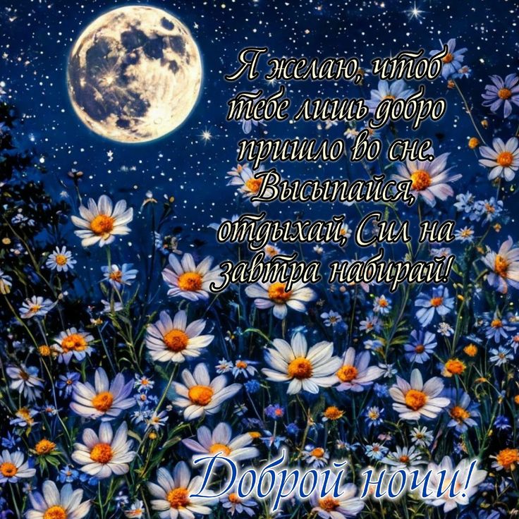 Открытка «Доброй ночи»: Доброй ночи: красивые ромашки под полной луной. Тэги: Спокойной ночи, Спокойной ночи, красивые…