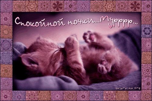 Открытка «Доброй ночи»: Спокойной ночи: милый котик для нежных снов. Тэги: Спокойной ночи, Спокойной ночи, красивые…
