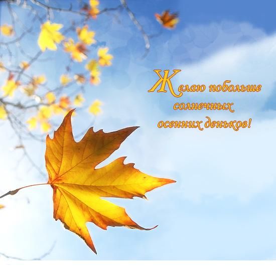 Открытка «Добрый день»: Добрый день: «Солнечные осенние дни» пожелание. Тэги: Добрый день и добрые пожелания, Добрый…