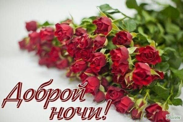 Открытка «Доброй ночи»: Доброй ночи: шикарный букет алых роз. Тэги: Спокойной ночи, любимая женщина, Спокойной ночи…