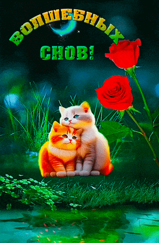 Открытка «Доброй ночи»: Спокойной ночи: Волшебных снов с милыми котятами. Тэги: Спокойной ночи, Спокойной ночи…