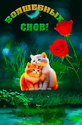Открытка «Доброй ночи»: Спокойной ночи: Волшебных снов с милыми котятами. Тэги: Спокойной ночи, Спокойной ночи…