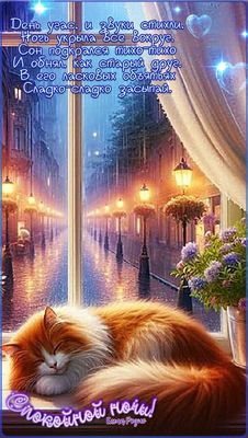 Открытка «Доброй ночи»: Спокойной ночи: Спящий рыжий кот у окна. Тэги: Спокойной ночи, Спокойной ночи, красивые…