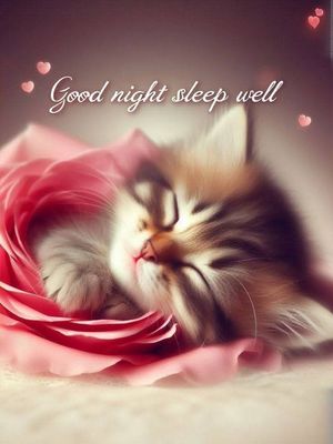 Открытка «Доброй ночи»: Доброй ночи: «Спящий котенок в розе». Тэги: Спокойной ночи, сонник, Спокойной ночи, с пожелан…