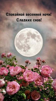 Открытка «Доброй ночи»: Спокойной ночи: «Луна и розовые розы». Тэги: Спокойной ночи, Спокойной ночи, красивые, Спокой…