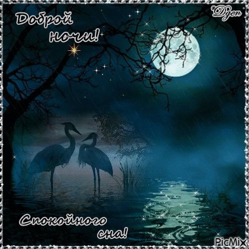 Открытка «Доброй ночи»: Доброй ночи и спокойного сна: цапли под луной. Тэги: Спокойной ночи, цапля, Спокойной ночи…