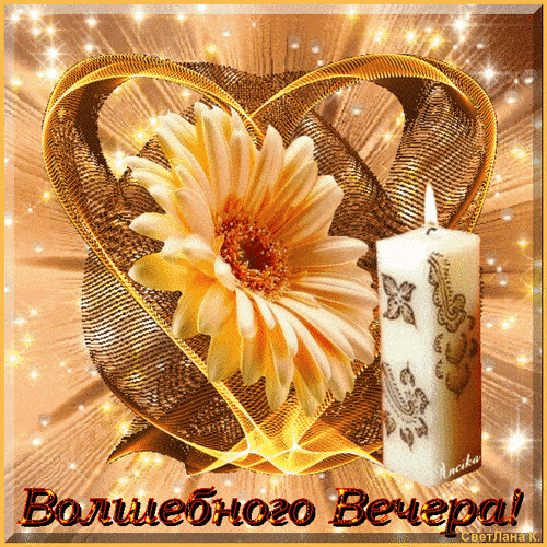 Открытка «Добрый вечер и пожелания»: Добрый вечер: Волшебного вечера с герберой и свечой. Тэги: Доброго вечера и хоро…
