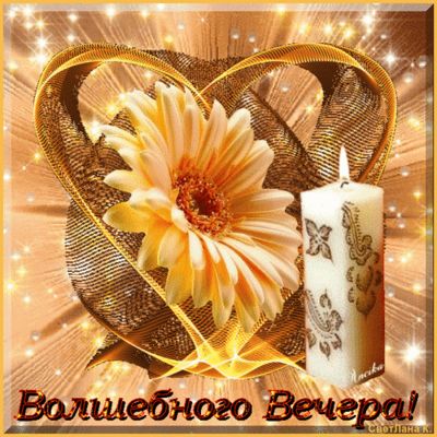 Открытка «Добрый вечер и пожелания»: Добрый вечер: Волшебного вечера с герберой и свечой. Тэги: Доброго вечера и хоро…