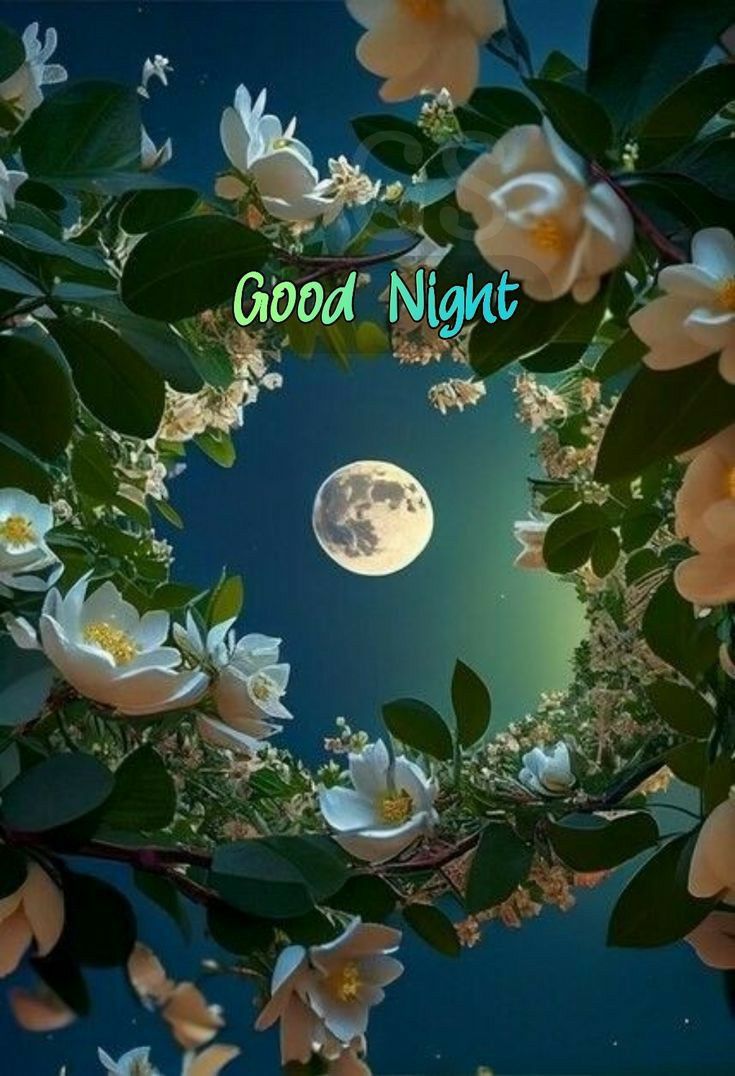 Открытка «Доброй ночи»: Спокойной ночи: Луна в обрамлении цветов. Тэги: Спокойной ночи, Спокойной ночи, красивые…