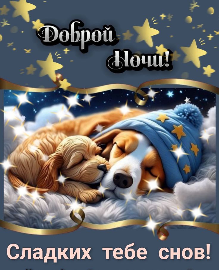 Открытка «Доброй ночи»: Спокойной ночи: милые собаки на фоне звездного неба. Тэги: Спокойной ночи, Спокойной ночи…