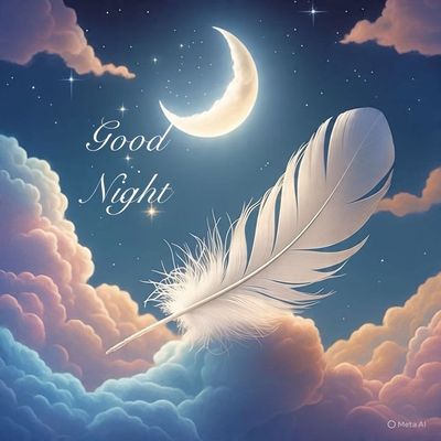 Открытка «Доброй ночи»: Спокойной ночи: Волшебное перо под лунным небом. Тэги: Спокойной ночи, ночной, Спокойной ночи…