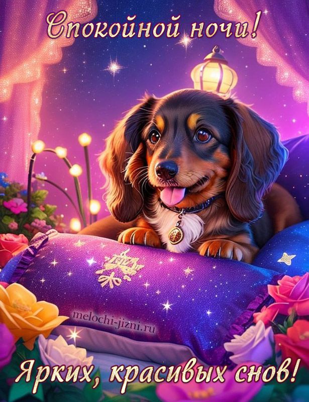 Открытка «Доброй ночи»: Спокойной ночи: открытка с милой собакой и цветами. Тэги: Спокойной ночи, ночной, Спокойной н…