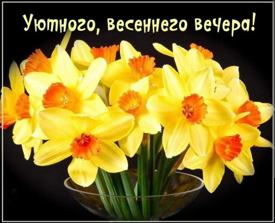 Открытка «Пожелание»: Добрый вечер: «Уютного, весеннего вечера!». Тэги: радость, надпись, теплый, прекрасный, нежный…