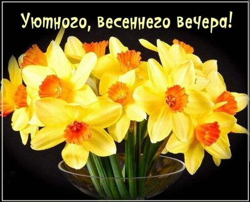 Открытка «Добрый вечер и пожелания»: Добрый вечер: «Уютного, весеннего вечера!». Тэги: С добрым, весенним вечером…