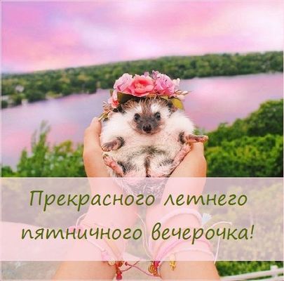 Открытка «Добрый вечер и пожелания»: Добрый вечер: Прекрасного летнего пятничного вечерочка. Тэги: Прикольный добрый…