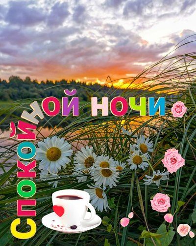 Открытка «Доброй ночи»: Спокойной ночи: душевное пожелание с ромашками у реки. Тэги: Спокойной ночи, Спокойной ночи…