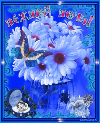 Открытка «Доброй ночи»: Спокойной ночи: «Нежной ночи» с цветами и бабочкой. Тэги: Спокойной ночи, Спокойной ночи…