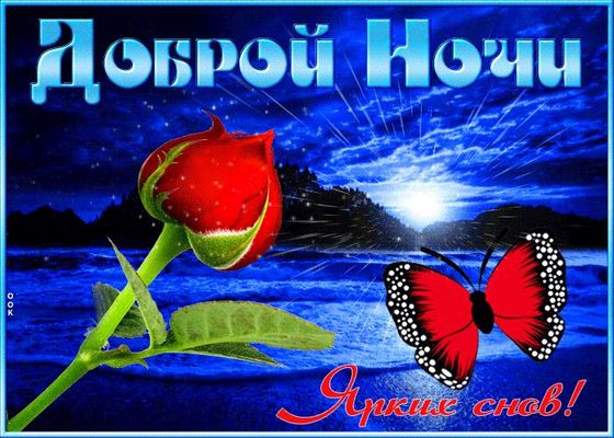 Открытка «Доброй ночи»: Доброй ночи: яркая открытка с розой и бабочкой. Тэги: Спокойной ночи, Спокойной ночи, красивые…