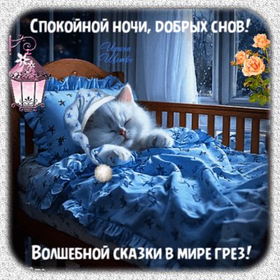 Открытка «Доброй ночи»: Спокойной ночи: милый котик в голубой кроватке. Тэги: Спокойной ночи, Спокойной ночи, с пожел…