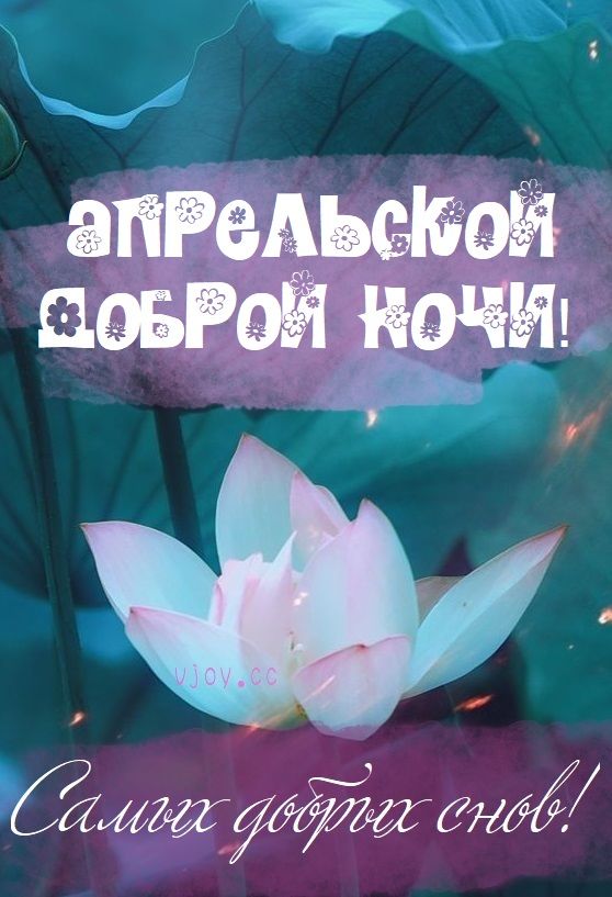 Открытка «Доброй ночи»: Спокойной ночи: апрельского доброго вечера и снов.