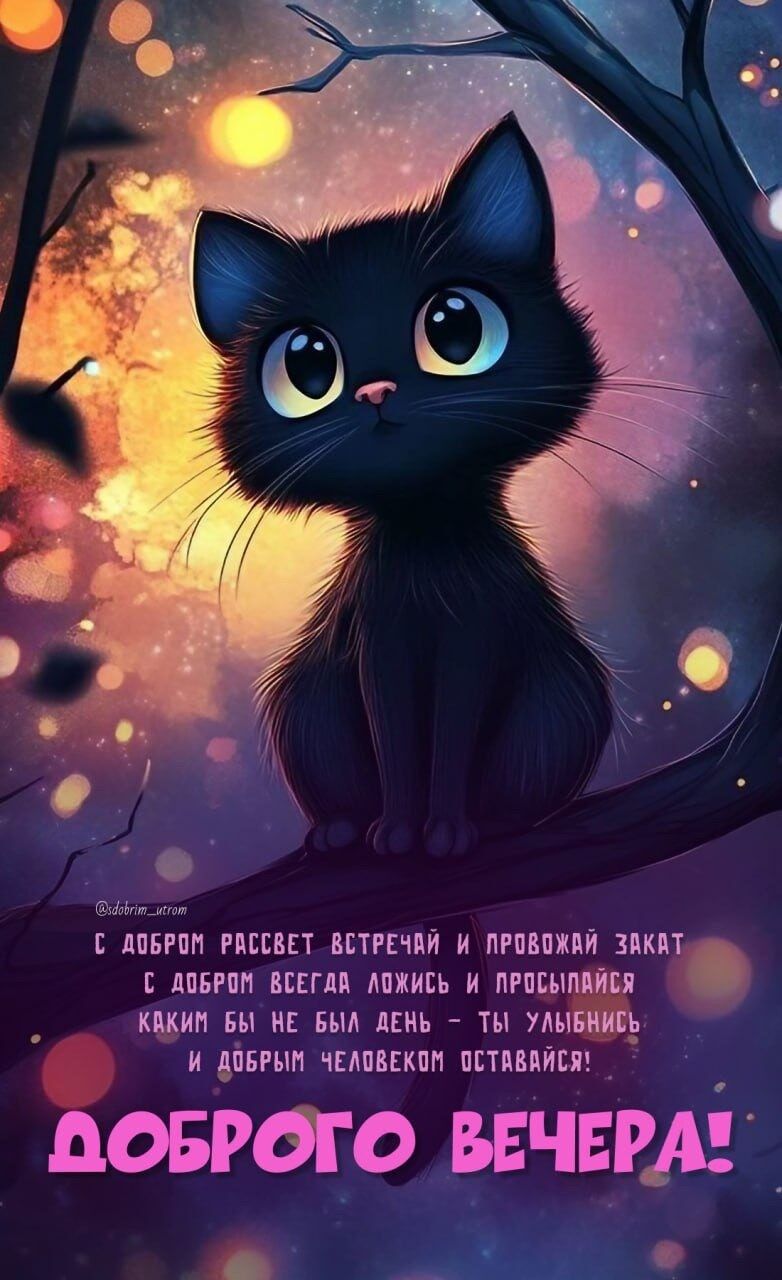 Открытка «Добрый день»: Добрый вечер! Пожелание с милым котиком на ветке. Тэги: Добрый день и добрые пожелания…