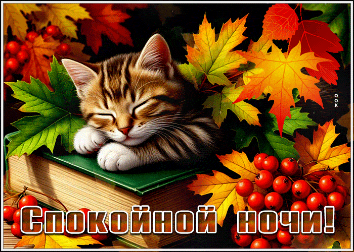 Открытка «Доброй ночи»: Спокойной ночи: милый котенок в осенних листьях.