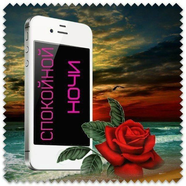 Открытка «Доброй ночи»: Доброй ночи: «Смартфон и роза» на морском берегу.