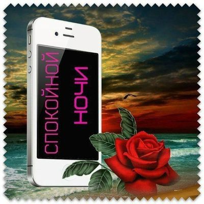 Открытка «Доброй ночи»: Доброй ночи: «Смартфон и роза» на морском берегу.