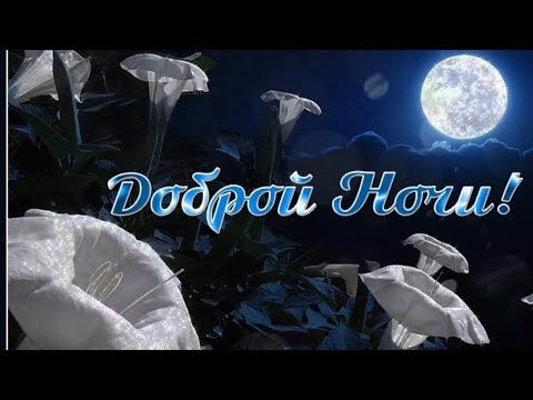 Открытка «Доброй ночи»: Спокойной и доброй ночи: «Лунный свет и белые цветы». Тэги: Спокойной ночи, Спокойной ночи…