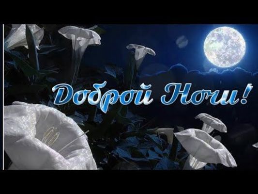 Открытка «Доброй ночи»: Спокойной и доброй ночи: «Лунный свет и белые цветы». Тэги: Спокойной ночи, Спокойной ночи…