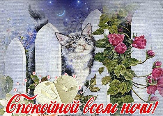 Открытка «Доброй ночи»: Спокойной ночи: милый котенок и розы. Тэги: Спокойной ночи, Спокойной ночи, красивые, Спокойн…