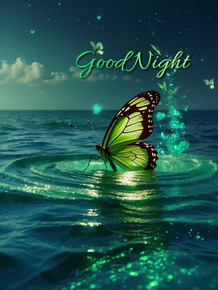 Открытка «Доброй ночи»: Спокойной ночи: Волшебная бабочка на ночной воде. Тэги: Спокойной ночи, Спокойной ночи…