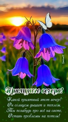 Открытка «Добрый вечер и пожелания»: Добрый вечер: «Закат, колокольчики и бабочка». Тэги: Добрый вечер красивые…