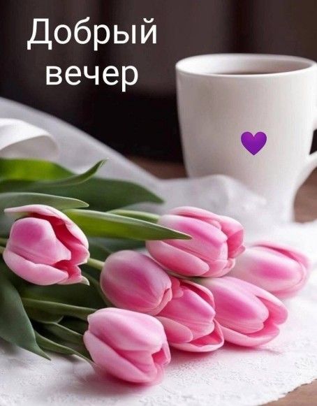 Открытка «Добрый вечер и пожелания»: Добрый вечер: «Нежные тюльпаны и чашка кофе». Тэги: Добрый вечер женщине, Доброг…