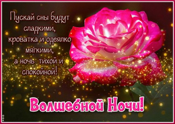 Открытка «Доброй ночи»: Доброй ночи: Волшебная роза и сладкие сны. Тэги: Спокойной ночи, Спокойной ночи, красивые…