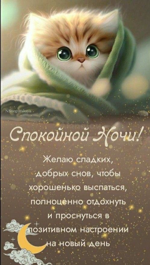 Открытка «Доброй ночи»: Спокойной ночи: милый котенок и доброе пожелание. Тэги: Спокойной ночи, Спокойной ночи…