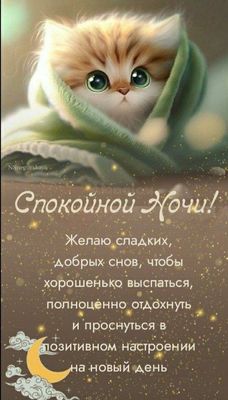 Открытка «Доброй ночи»: Спокойной ночи: милый котенок и доброе пожелание. Тэги: Спокойной ночи, Спокойной ночи…