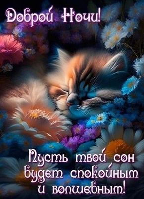 Открытка «Доброй ночи»: Спокойной ночи: милая открытка с котенком в цветах. Тэги: Спокойной ночи, Спокойной ночи…