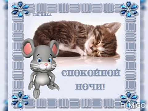 Открытка «Доброй ночи»: Спокойной ночи: спящий кот и милая мышка. Тэги: Спокойной ночи, пожелание, радость, кот…